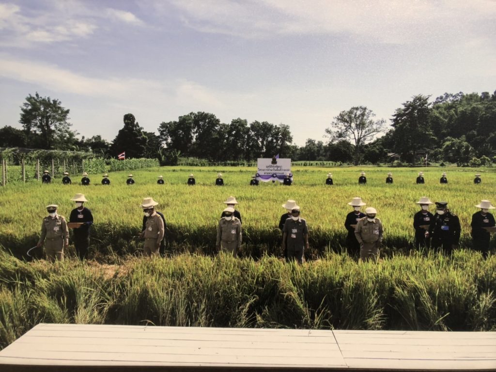 ภาพถ่ายฝีพระหัตถ์